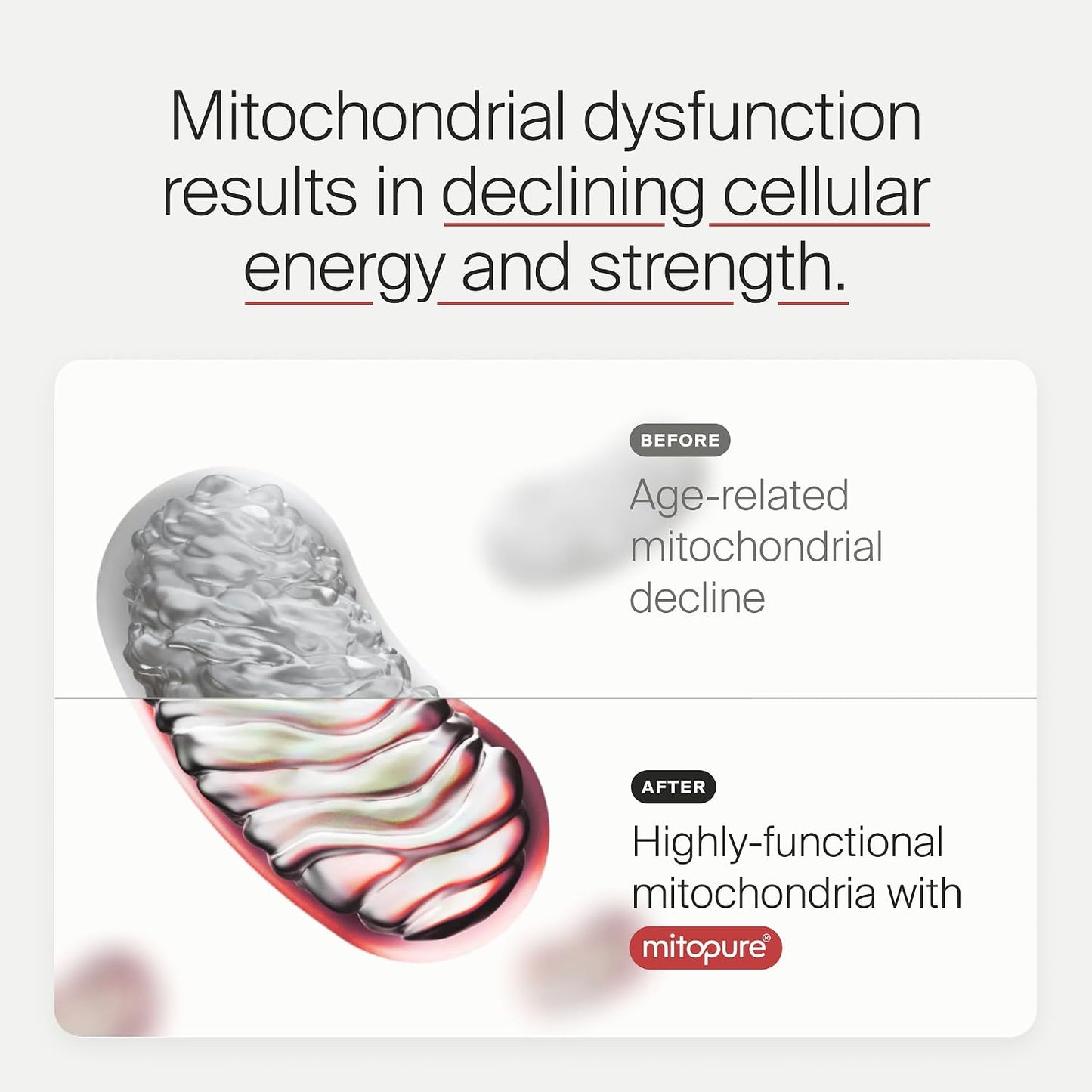 Mitopure Powder Urolithin A